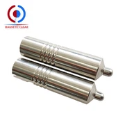 Haste magnética 100mm